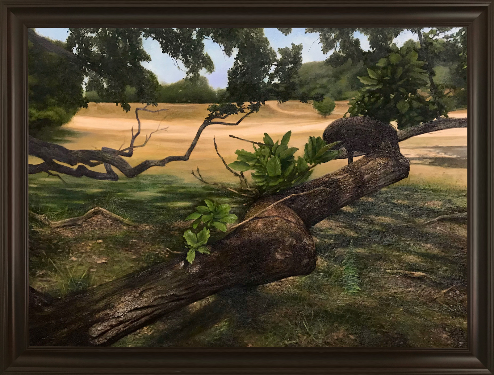 Amsterdamse waterleiding duinen